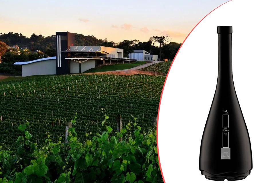 Análise: Luiz Argenta Merlot Jovem