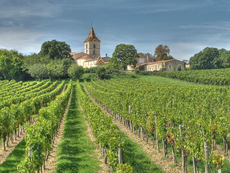 Bordeaux: A Joia do Vinho Francês