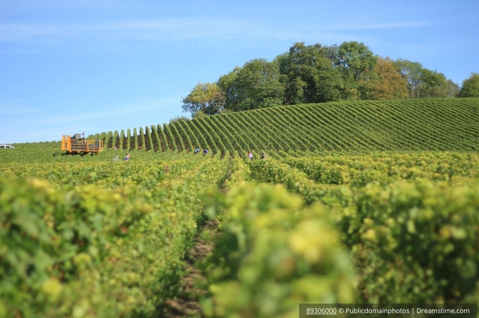 O que significa a denominação D.O.C. nos vinhos?