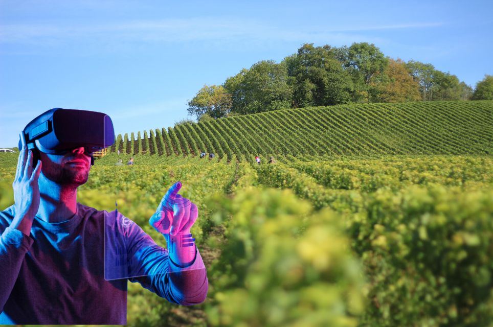 O Uso de IA na Produção de Vinhos