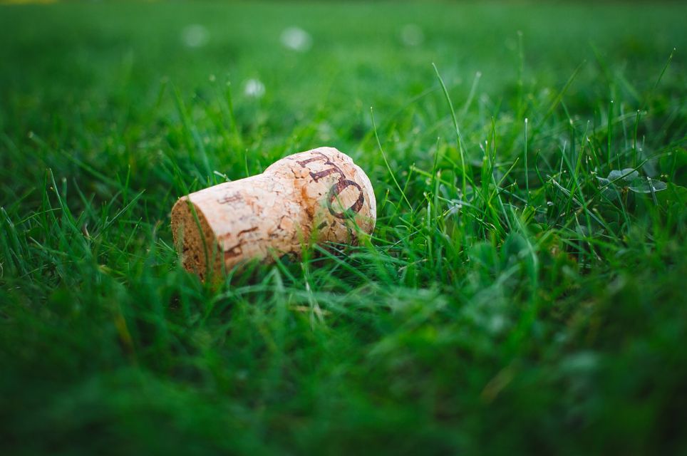 Por que os Vinhos Malbecs Argentinos São Tão Bons?